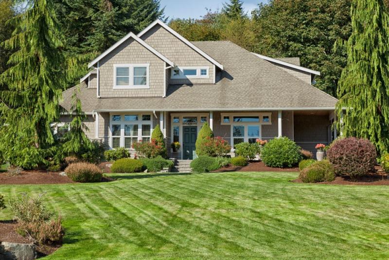 Landscaping Mistakes that Lead to More Maintenance