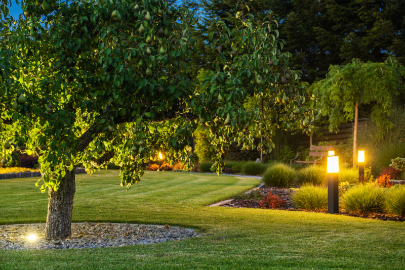How Smart Outdoor Lighting Is Transforming Milton Yards in 2025